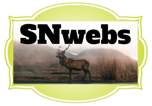 SNwebs